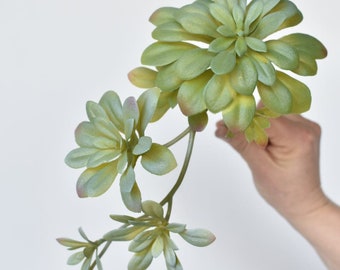 11.5" Faux Trailing Soft Aeonium Spray Stem