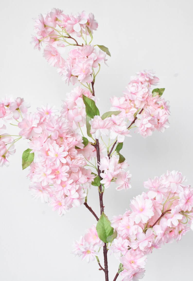 Puede incluir: Una rama de flores de cerezo artificiales con racimos de flores de color rosa p&aacute;lido y hojas verdes. Las flores est&aacute;n en plena floraci&oacute;n, con p&eacute;talos delicados y centros amarillos. El tallo es de color marr&oacute;n oscuro, sobre un fondo blanco.