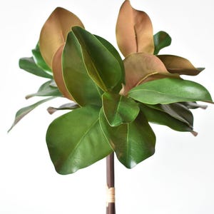 18&quot; Faux Magnolia Leaf Bundle