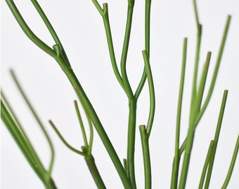 May include: A bunch of green artificial plant stems with multiple branches. The stems are thin and have a smooth texture.