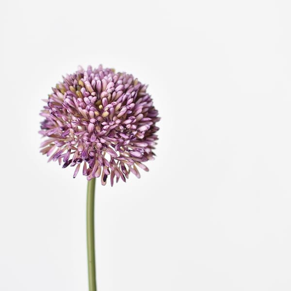 17.5" Faux Purple Allium Spray Stem