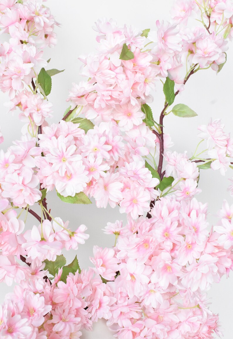Puede incluir: Primer plano de ramas de flores de cerezo artificiales con racimos de flores de color rosa p&aacute;lido y hojas verdes. Las ramas son de color marr&oacute;n oscuro y el fondo es blanco.