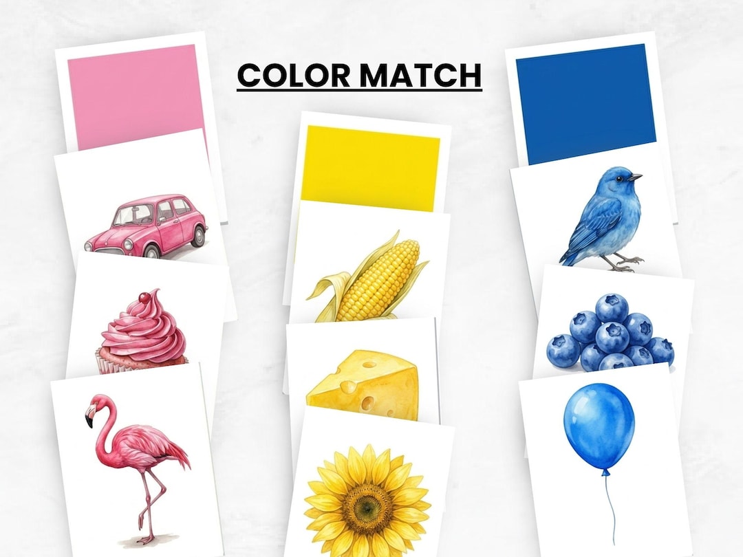 Montessori Color Sorting Game, Toddler Learning Activity, Preschool ...