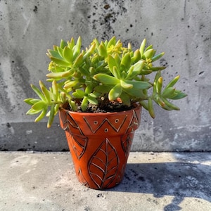 May include: A vibrant green succulent plant with small yellow flowers potted in a terracotta-colored clay pot. The pot features a hand-carved pattern of stylized leaves and geometric lines etched into the surface, creating a textured design.