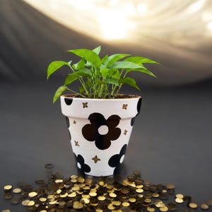 May include: A white terracotta plant pot featuring a hand-painted black flower pattern and small gold star accents. The pot contains a vibrant green leafy plant with multiple stems and pointed leaves, creating a contrast against the monochrome design.