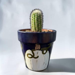 May include: A small green cactus with sharp spines planted in a dark blue terracotta pot. The exterior of the pot is hand-painted with a white pumpkin design featuring a tan stem and dark green swirling vines against the deep blue background.