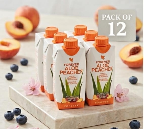 aloe vera pflanze kaufen hamburg Aloe vera Sweet 12cm