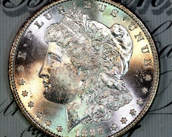 Dollaro d'argento Morgan del 1889-S, solido+, in condizioni BU MS, proveniente dalla collezione originale.