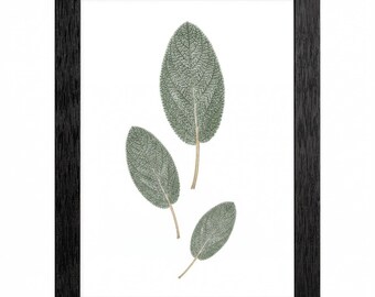 Sage Leaves Botanical Print, Minimalist Vertical Art, Textured Black Frame