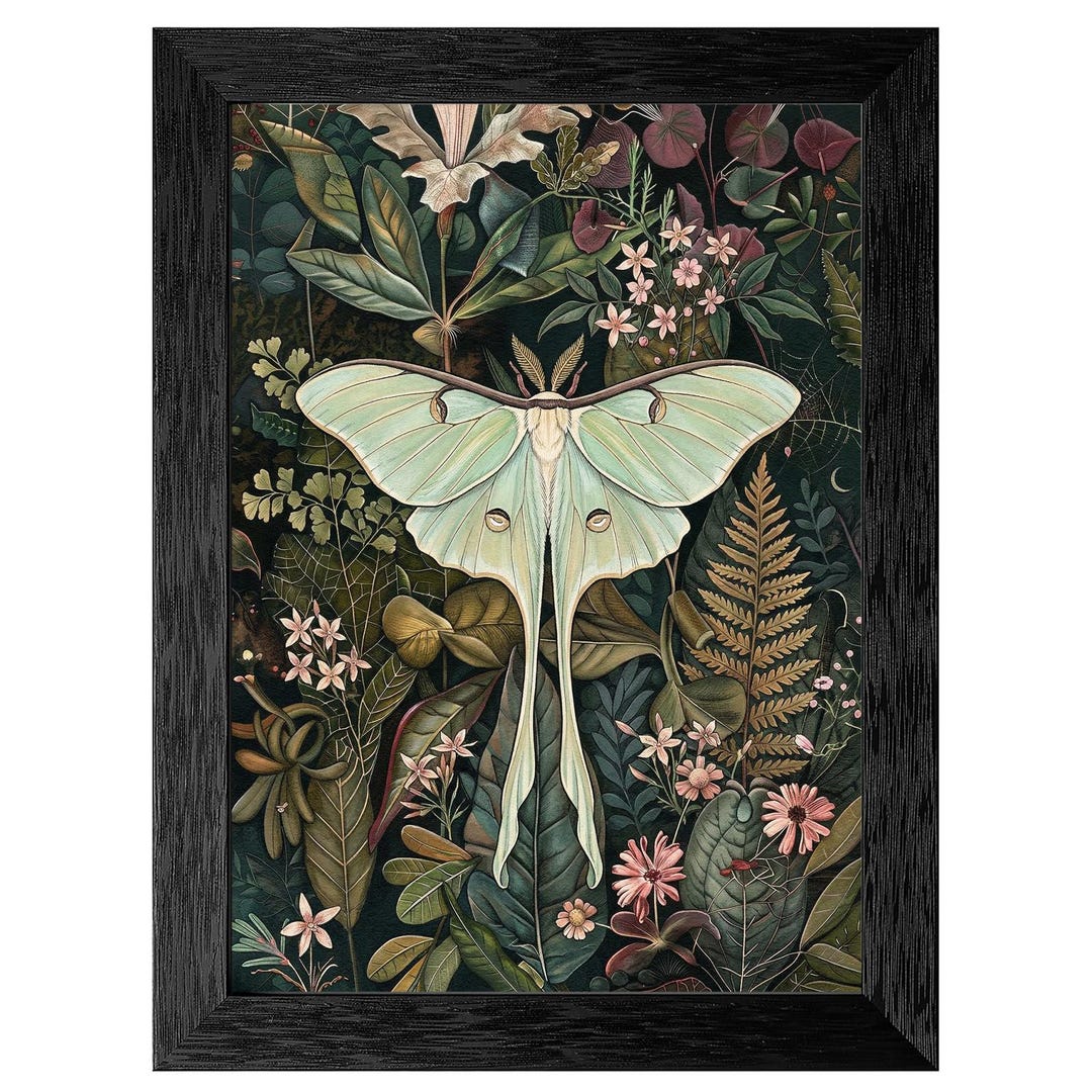 Luna Moth Botanical Canvas Print, Vintage Moody Night Garden Art (ready ...