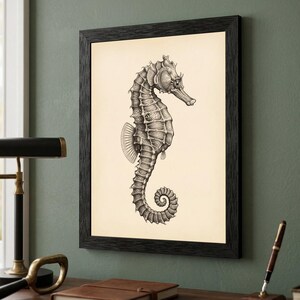 May include: Black framed print featuring a detailed black and white illustration of a seahorse. The seahorse is depicted in a side profile, showcasing its unique shape and features. The artwork is set against a cream-colored background.