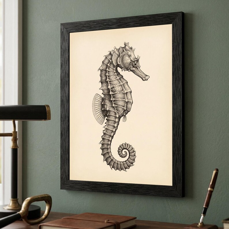 May include: Black framed print featuring a detailed black and white illustration of a seahorse. The seahorse is depicted in a side profile, showcasing its unique shape and features. The artwork is set against a cream-colored background.
