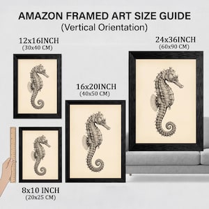 May include: Framed art prints of seahorses in various sizes. The prints are in black frames and feature detailed illustrations of seahorses on a cream-colored background. Sizes include 8x10 inches, 12x16 inches, 16x20 inches, and 24x36 inches.