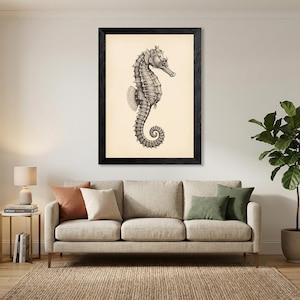 May include: A framed black and white seahorse illustration. The seahorse is depicted in profile, with detailed shading and a curled tail. The artwork is set against a cream-colored background and framed in a black wooden frame.