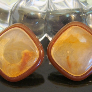 Vintage Bernstein Lucite Ohrringe, Mid Century Schmuck #340