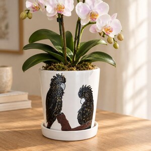 May include: A white ceramic plant pot featuring a hand-painted illustration of two black cockatoos perched on a brown branch. The pot contains a blooming orchid with light pink flowers and green leaves, and it sits on a matching white saucer.