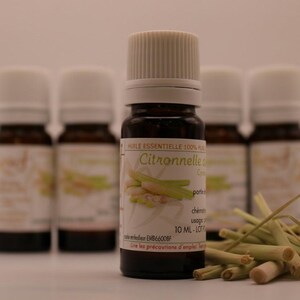 Peut inclure: Plusieurs petites bouteilles en verre brun foncé avec des bouchons blancs, étiquetées avec du texte et des illustrations. Un bouquet de tiges de citronnelle séchées est au premier plan. L'étiquette indique "Citronnelle".