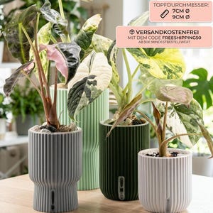 Räffla 7cm 9cm Selbstbewässerungstöpfe | Scandi-Style modern geriffelt | Alocasia Philodendron Topf | Bewässerungssystem semi hydro
