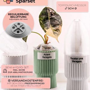 Könnte beinhalten: Ein semi-hydroponisches Pflanztopf-Set mit gerippten zylindrischen Behältern in Weiß und Hellgrün. Die Töpfe enthalten transparente Kuppeln zur Akklimatisierung und verstellbare Belüftungsschlitze. Etiketten kennzeichnen die Pflanzen als Azlanii Variegata und Yucatan pink Variegata.