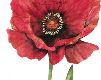 Pretty Poppy Watercolor Painting, Flower Art, Botanical Painting