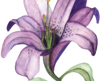 Purple Easter Lily Flower, botanical painting, traditional art watercolor, Gift for Mom, wife, sister