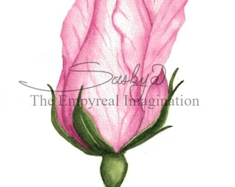 Single Rose Watercolor Painting, Original, gift, present