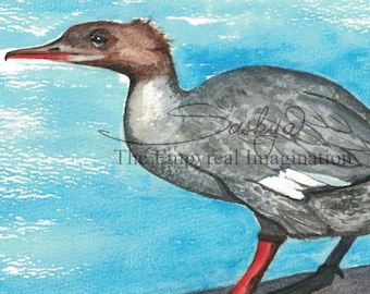 Common Merganser Northern Loon, duck, bird, watercolor painting, original art, gift, present