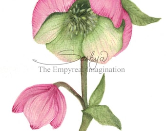 Green Inside Pink Flower Watercolor Painting, Art, Gift, Present