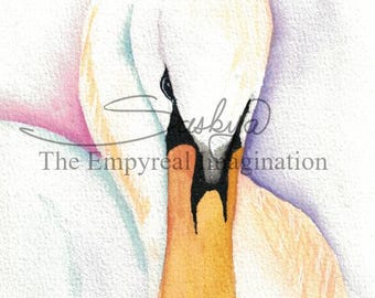 Colorful Swan Watercolor Painting, Original Art, gift, present