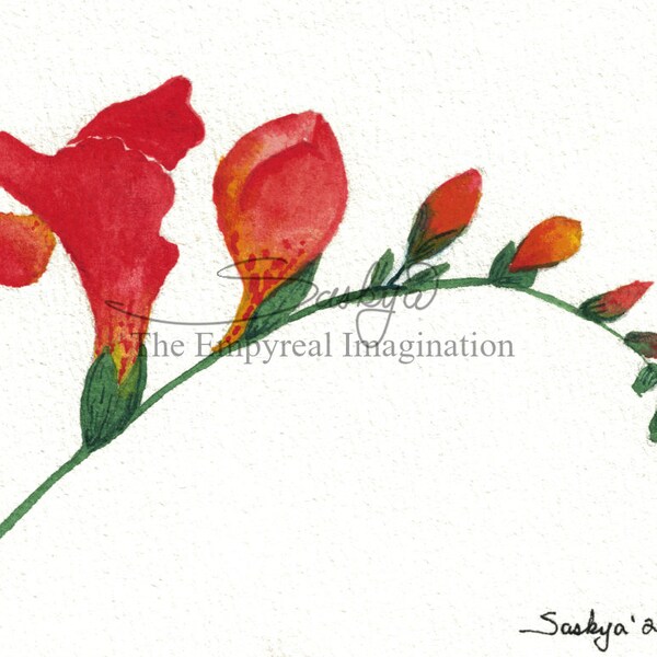 Botanical Gladiola in Orange Watercolor Painting -  Unique Elegant Birthday Gift, Present for your Love