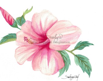 Pink Hibiscus Watercolor Painting