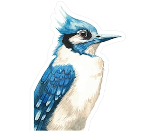 Blue Jay Illustration Sticker | Vinyl Decal