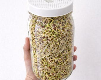 Kit de germinación impreso en 3D. Listo para comer una vez cultivado.