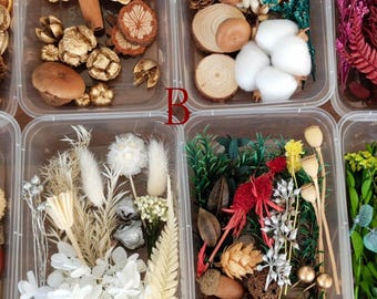 Rustic Forest Dried Flower Mix for Frame & Candle DIY