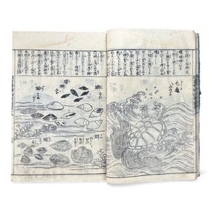 Op de afbeelding: Open boek met Japanse illustraties. Eén pagina toont verschillende schelpen en de andere toont een schildpad in golven. De illustraties zijn in zwarte inkt op verouderd papier, met Japanse tekst erboven.