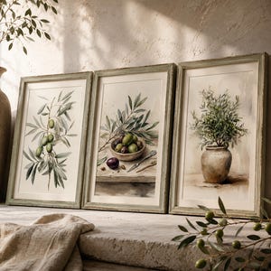 Könnte beinhalten: Ein Set aus drei gerahmten Wandbildern mit Aquarellillustrationen von Olivenzweigen, einer Holzschale mit grünen und violetten Oliven auf einem Tisch mit einem kleinen Metallmesser sowie einem Olivenbaum in einem rustikalen Tontopf.