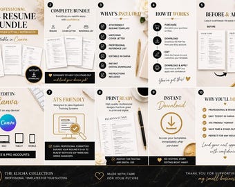 PROFESSIONEEL CV IT