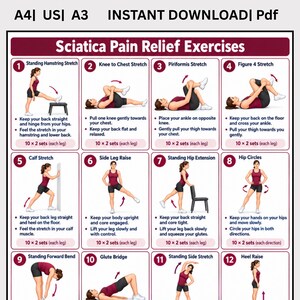 May include: A digital chart titled Sciatica Pain Relief Exercises featuring twelve numbered illustrations of a person in a maroon top and black shorts performing various stretches and movements with instructional text and repetition counts for each.