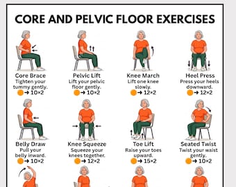 Übungen für Rumpf und Beckenboden im Sitzen für Senioren (zum Ausdrucken), Stuhl-Workout für ältere Frauen, Beckenboden-Stärkungsdiagramm (PDF-Download)