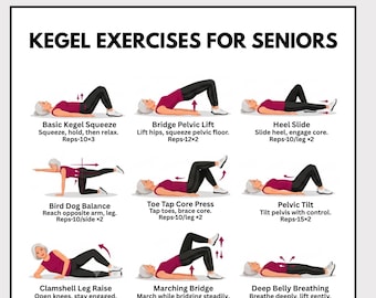 Beckenbodenübungen für Frauen ab 50 (druckbar), Kegel-Übungsplan, Blasentraining, Rumpfmuskulaturtraining (PDF), Fitness-Ratgeber für die Wechseljahre