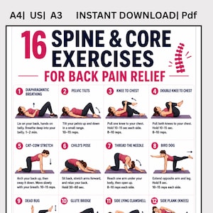 May include: A digital poster titled 16 SPINE & CORE EXERCISES FOR BACK PAIN RELIEF, featuring numbered illustrations of individuals performing various stretches and movements on a mat, with instructional text for each exercise in English.