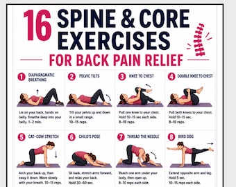 16 Spine & Core Exercises for Back Pain Relief, Women Over 40 Workout, Printable Back Strength Exercise Chart, Core Stability PDF