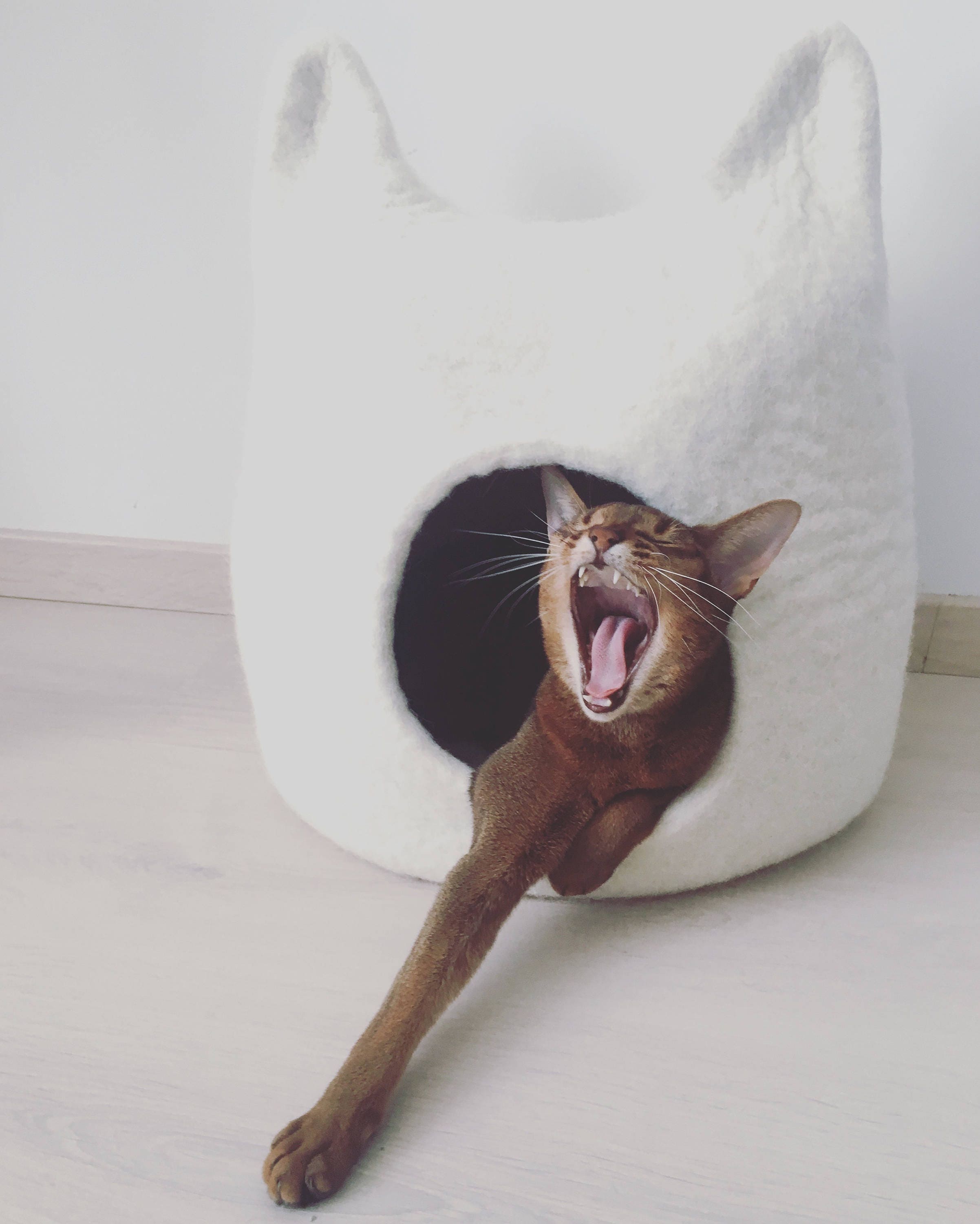 Cat Bed Cave From Natural White Felted Wool Warm And Comfy Etsy