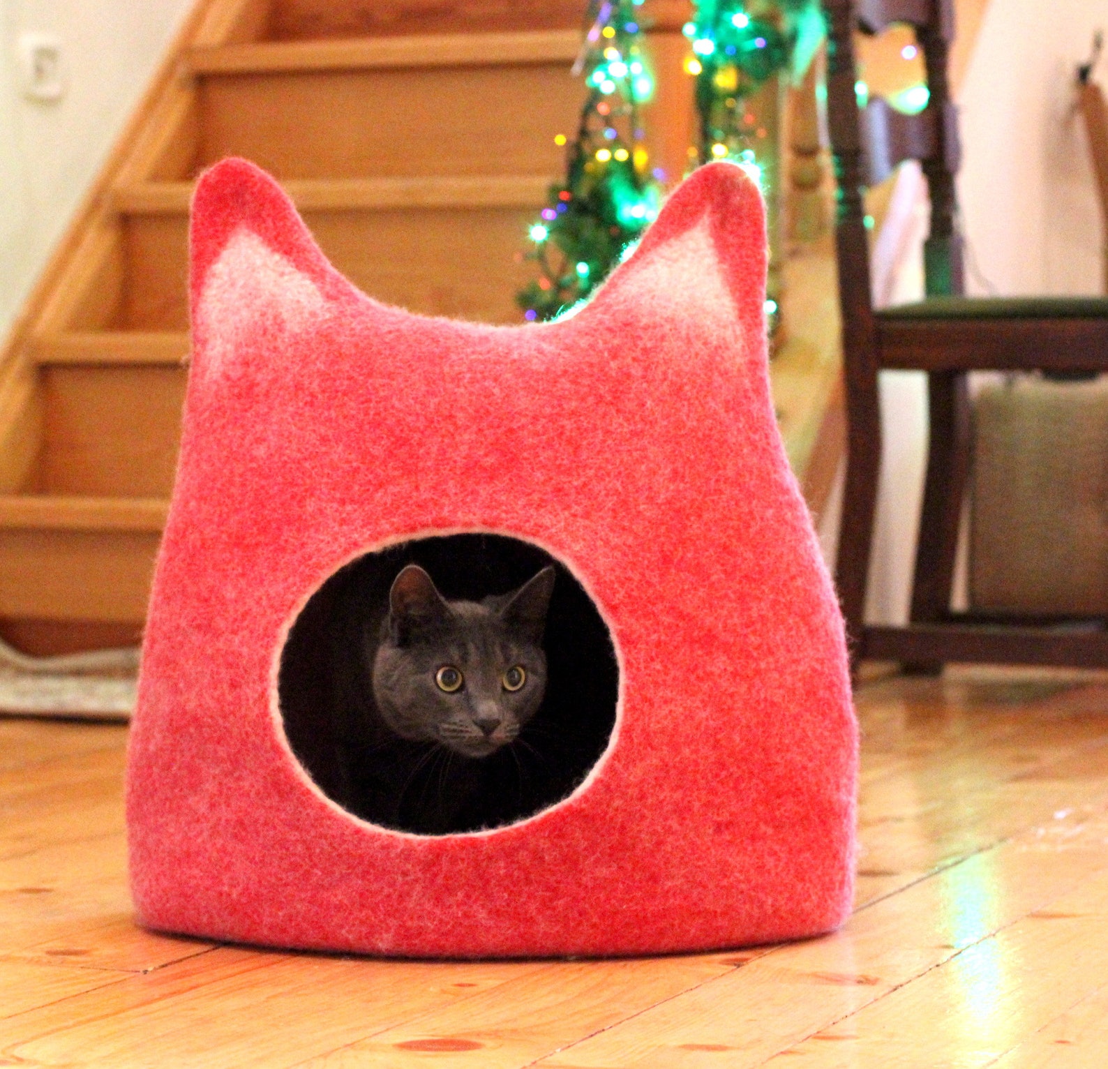 Red Cat Bed Cot Wool Cat House. Christmas Gift for Cat. Cat Etsy