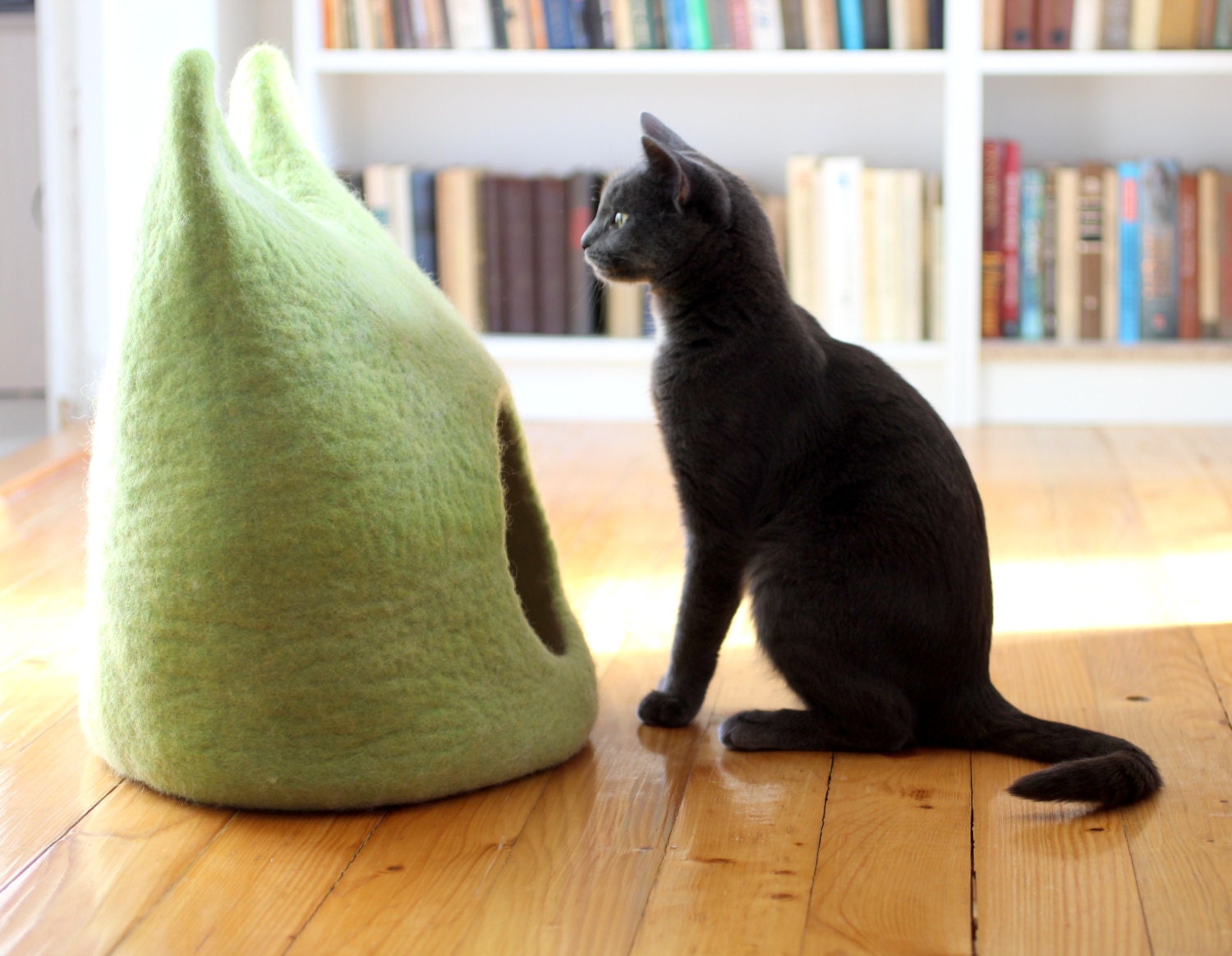 Lit de Chat. Maison Caverne Chat La Laine Dans Le Vert Chartreuse avec Blanc Normal.