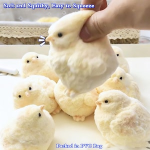 Könnte beinhalten: Eine Sammlung weicher, gelber Küken-Spielzeuge. Eines wird gedrückt, was seine weiche Textur zeigt. Der Text "Soft and Squishy, Easy to Squeeze" und "Packed in PVC Bag" sind sichtbar. Diese Plüschküken sind zum Spielen gedacht.
