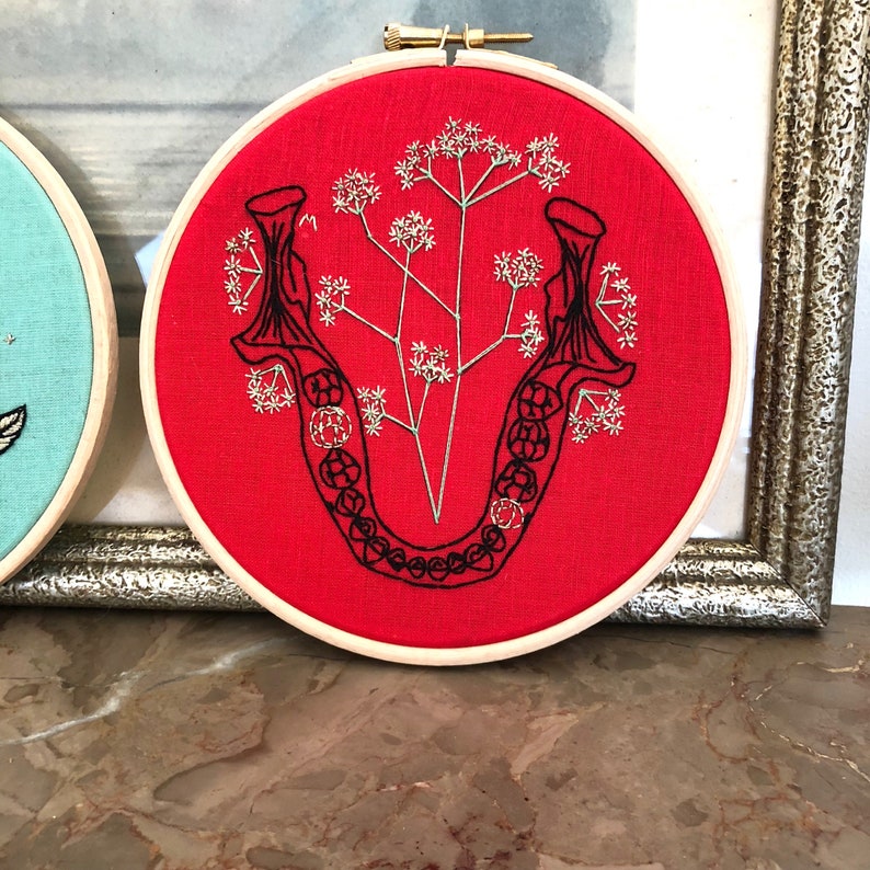 Gift box of 3 Modern EMBROIDERY KITS Jaw with Baby Breath Anatomy and Botanic Triptych Skull with Rose Rib Cage with Water lily