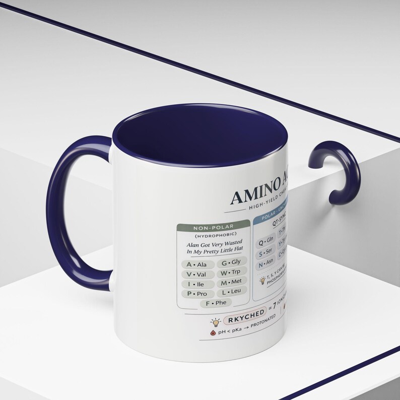 Amino Acids Cheat Sheet Mug | Biochemistry Study Aid, MCAT Prep (11oz ...