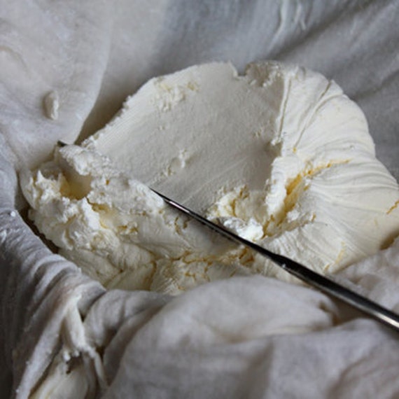 Items similar to Cream Cheese Kit Makes 2 kilograms of delicious