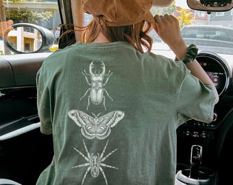 Insect Illustration Shirt, Vintage Bug Art Tee, Stag Beetle T-Shirt, Moth Top, Spider Detailed Tshirt, Entomology Gift Tee, Insect Shirt